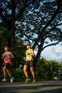 BIB: 
                            <button type="button" onclick="openModal(26551511)" class="btn btn-primary btn-sm float-right btn-popup" data-toggle="modal" data-target=".modal-high-quality">
                        <i class="fas fa-shopping-cart"></i> Add to Cart
                    </button>
                                            <button type="button" onclick="isThisMe(26551511, true)" class="btn btn-success btn-sm float-right btn-popup btn-isme hidden" data-toggle="tooltip" data-placement="bottom" title="นี่คือรูปของคุณใช่ไหม คลิกที่นี่เพื่อเอาเข้าอัลบั้ม">
                        <i class="fas fa-plus"></i> Add to album
                    </button>
                    <button type="button" onclick="isThisMe(26551511, false)" class="btn btn-warning btn-sm float-right btn-popup btn-isnotme hidden">
                        <i class="fas fa-ban"></i> Remove from album
                    </button>